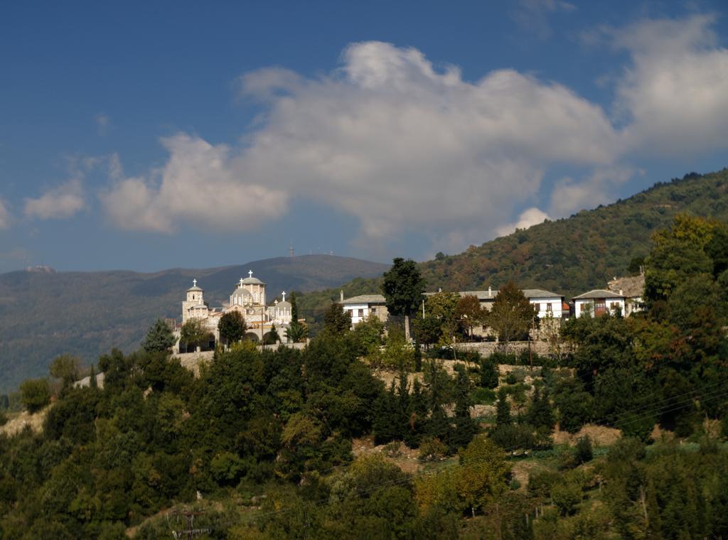 Pelion Goddess Villas Agios Georgios Nilias Room photo